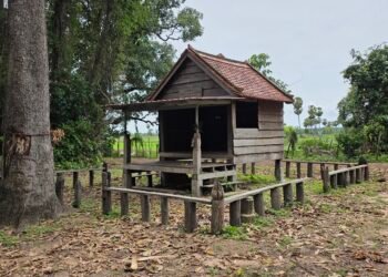 Animistic Beliefs and the Cult of Neak Ta  in the Sambor Prei Kuk Temple Complex