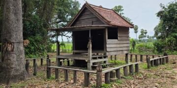 Animistic Beliefs and the Cult of Neak Ta  in the Sambor Prei Kuk Temple Complex